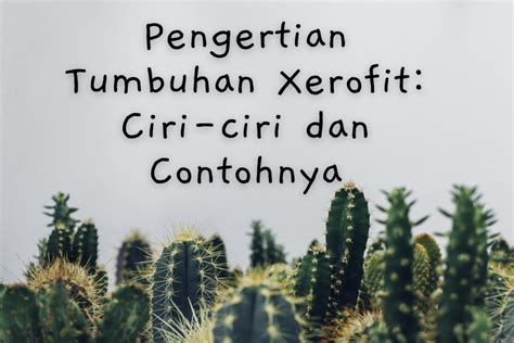 Foto : Pengertian Tumbuhan Xerofit: Ciri-ciri dan Contohnya