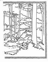 Redwood Tree Coloring Pages At GetColoringscom  Free Printable sketch template