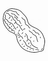 Single Peanut Coloring Page Free Printable PDF sketch template
