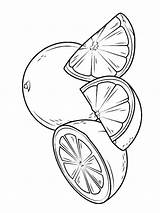 Grapefruit Coloring Pages sketch template