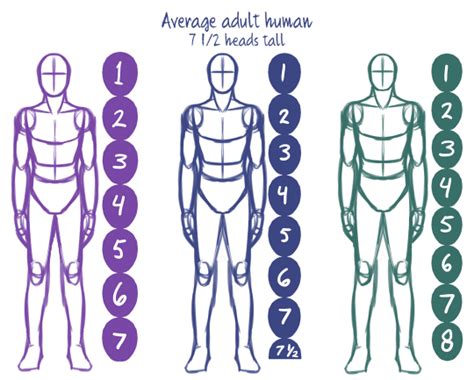 Land of Ink and Charcoal - Drawing humans [1/?]: Basic proportions