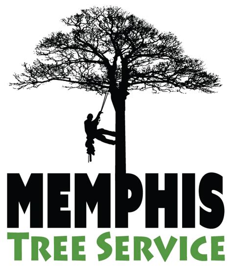 Tree Trimming; when is the best time to trim oak trees? – Tree Service Memphis