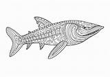 Requin — Coloriages Gratuits à Imprimer sketch template