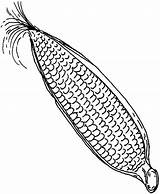 Easy Corns Coloring Pages  Cool sketch template