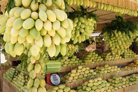 ‘Sweetest’ Guimaras mango becomes first geographical indication in ...