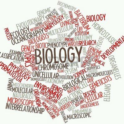 Biology Terms on Twitter: "#histology #bones #Intramembranous # ...