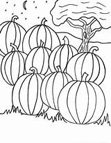 Pumpkin Patch Printable Image Coloring Pages  Cool sketch template