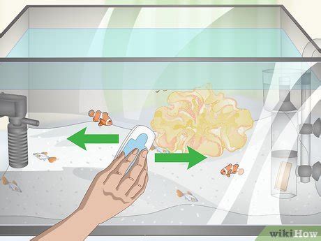 3 Ways to Reduce Saltwater Reef Aquarium Maintenance - wikiHow