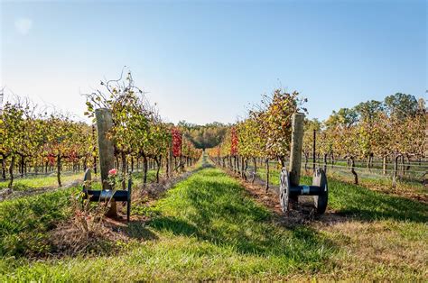 11 Yadkin Valley Wineries Not to Miss - Travel Addicts | Italian wine, Italy wine, Winery