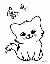 Small Kitten Coloring Page Download Printable PDF  Templateroller sketch template