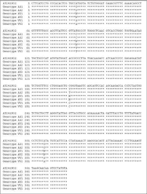 Sequence alignment of the 2 AA (genotype AA1 and AA2), AV (genotype AV1... | Download Scientific ...