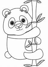 Panda Coloring Pages  Free Printable For Kids sketch template