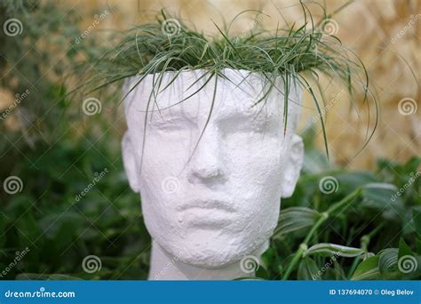 Pot for Indoor Plants in the Shape of a Head of Man, that Made of Plaster Stock Photo - Image of ...