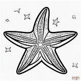 Star Fish Coloring sketch template
