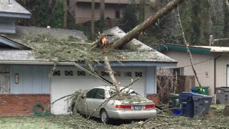 Remembering the Eugene ice storm: One woman still dealing with damage ...