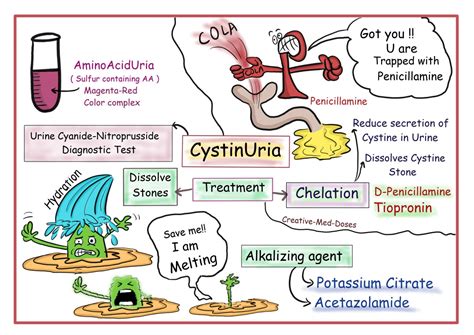 Cystinuria - Creative Med Doses