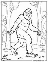 20 Bigfoot & Yeti Coloring Pages Free PDF Printables sketch template