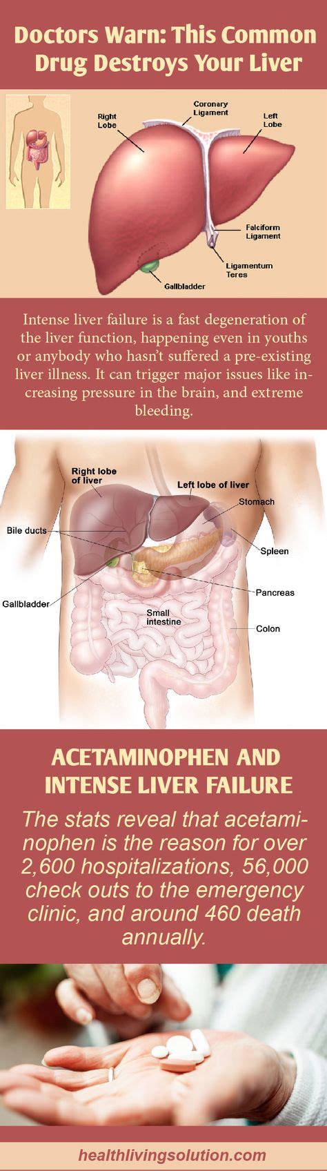 Doctors Warn: This Common Drug Destroys Your Liver | Liver failure, Liver health, Liver detox