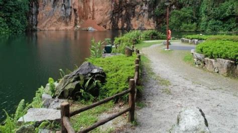 Bukit Batok Nature Park - Tranquil Beauty in Singapore | Visit Today