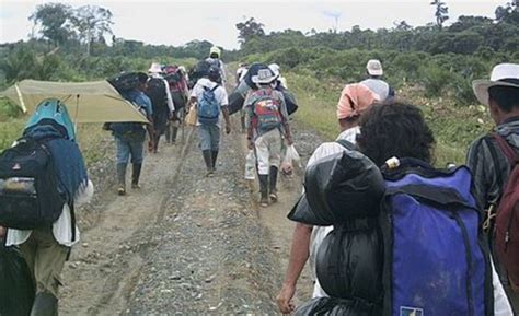 17 causas de desplazamiento forzado en Honduras identifica el Conadeh - DIARIO ROATÁN