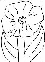 18  Poppy Coloring Pages PDF JPG sketch template