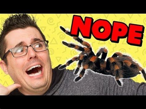 GIANT SPIDER PRANK - YouTube | Spider prank, Giant spider, Pranks