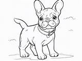 Smiling French Bulldog Coloring  Coloring Page sketch template