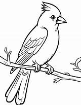 50 Bird Coloring Pages Free Printables sketch template