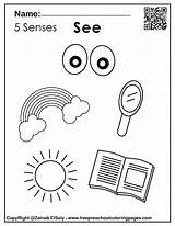 Set Of 5 Senses Activities For Kids  sketch template