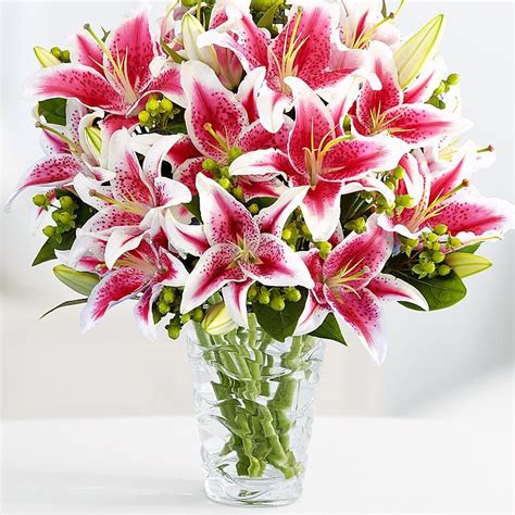 Stargazer Lily Bouquets | ProFlowers | Flower arrangements, Stargazer lily bouquet, Lily flower