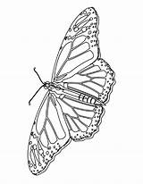 Free Printable Butterfly Coloring Pages For Kids sketch template