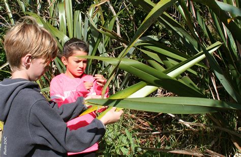 Explore your local nature: Conservation education