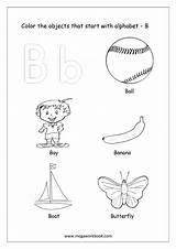 MegaWorkbook  sketch template