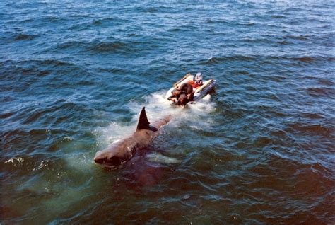 21 Amazing Behind the Scenes Photos From the Making of 'Jaws' (1975) ~ Vintage Everyday