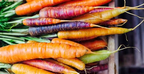 Five Root Vegetables You Need to Know About | WW Canada