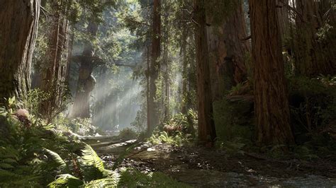 Endor Wallpaper (55+ images)