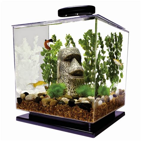 Small Fish Aquarium Ideas For Home : Best Ideas To Arrange An Aquarium Or Fish Tank In Home ...