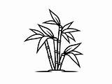 Bamboo Coloring Page  sketch template