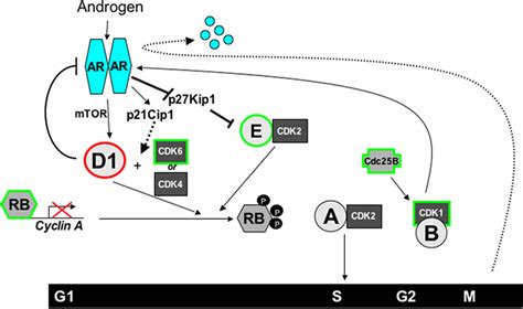 Figure 1 from Review Nuclear Receptor Signaling | The Open Access ...