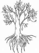 Tree with Roots coloring Page  ColouringPages sketch template