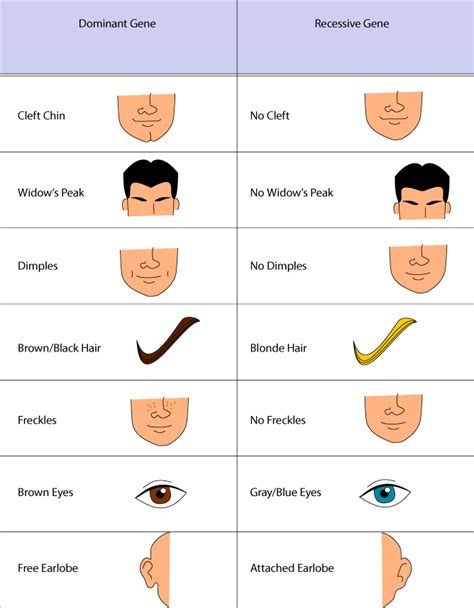 ELI5: Why aren’t dominant traits always more common than recessive traits?