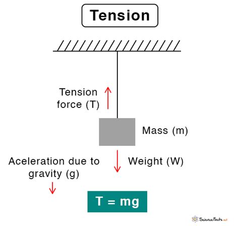 Tension (Tension Force): Definition, Formula, and Examples