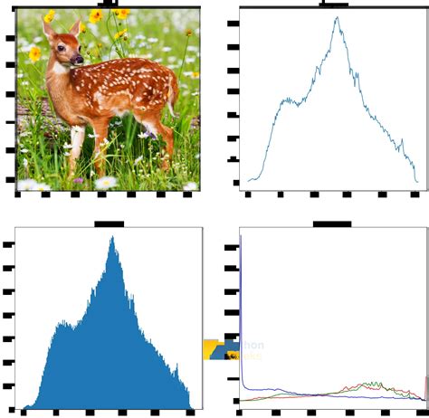 Histograms And Histogram Equalization Using Opencv Ds - vrogue.co