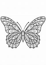 Free butterfly Drawing To Download And color  Butterfly Coloring Pages sketch template