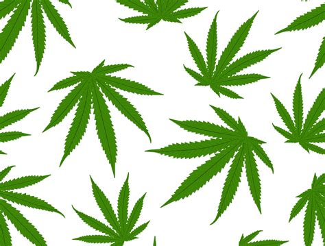 Cannabis leaves pattern background. Marijuana vector seamless pa by ...