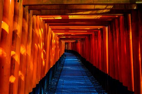 fushimi inari taisha, japan, temple, torii 4k wallpaper ...