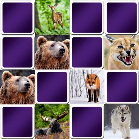 Play memory game - Wild animals - Online and free game!!!