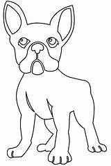 French Bulldog coloring Page  ColouringPages sketch template