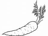 Vegetable Coloring Pages  Best For Kids sketch template