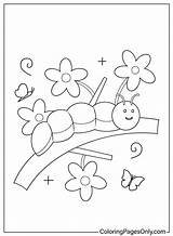 Free Coloring Page Caterpillar  Printable Pages sketch template